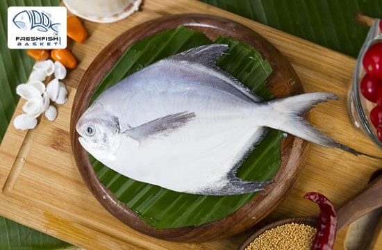 Fish O Fresh in Ratu Road,Ranchi - Order Food Online - Best